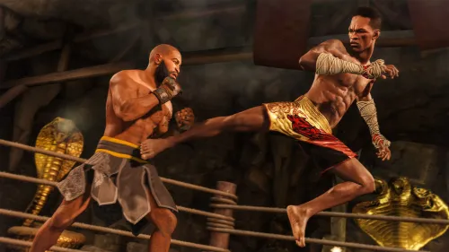 Аренда и прокат UFC 4 для PS4 для PS5 Хит